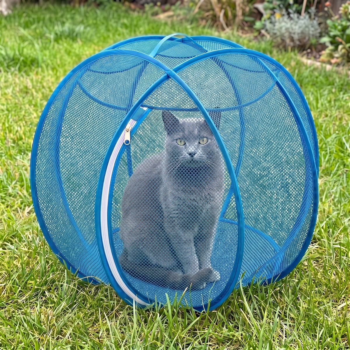 PurrNest Pop-Up Playpen in Blue with a grey cat relaxing inside on the lawn