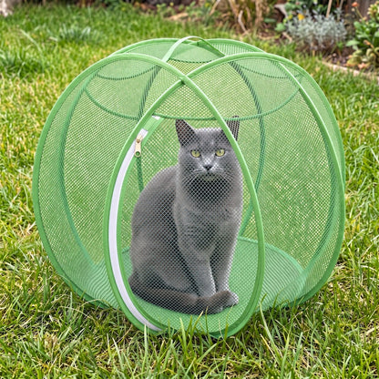 PurrNest Pop-Up Playpen in Green with a grey cat sitting inside on the grass