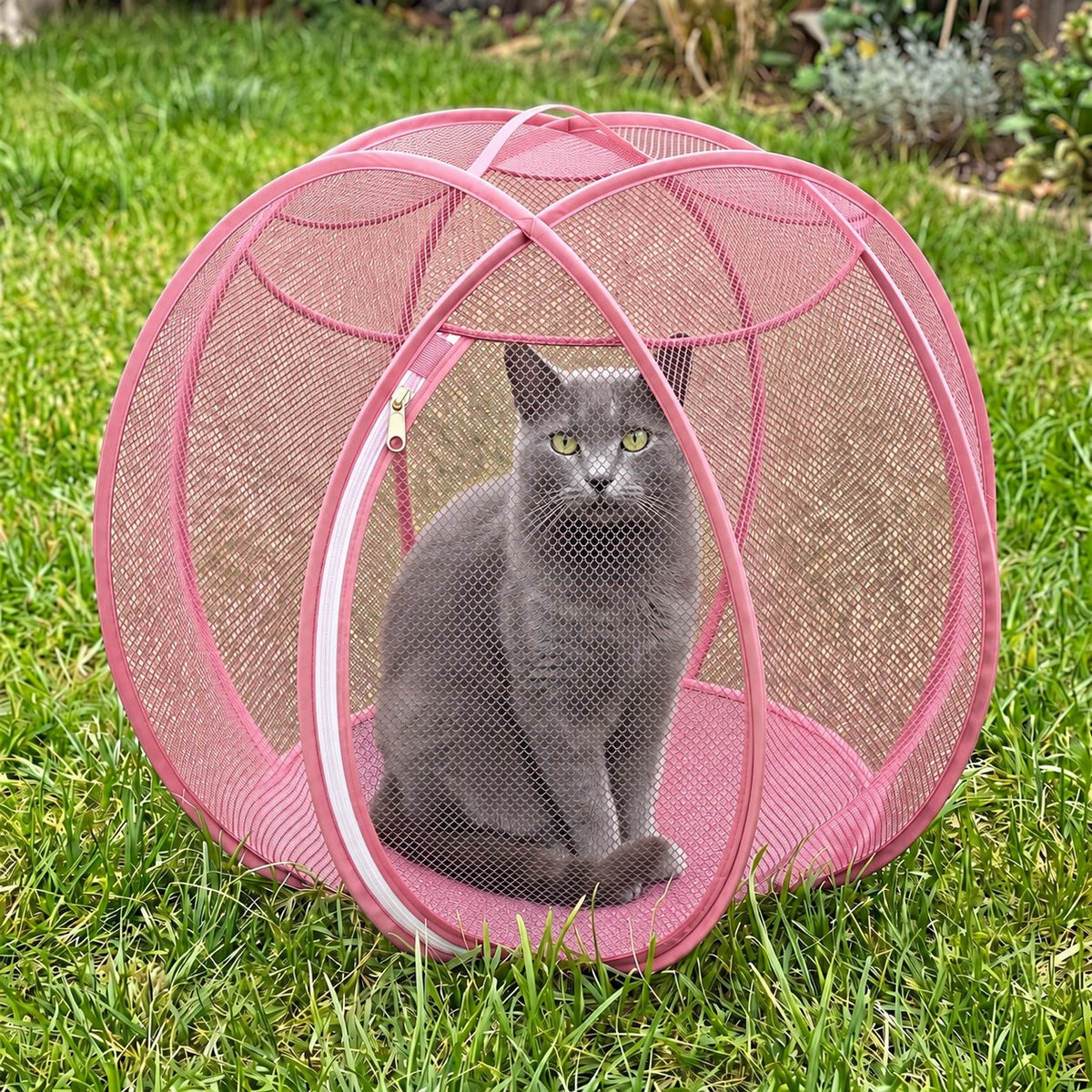 PurrNest Pop-Up Playpen in Pink with a grey cat sitting inside outdoors